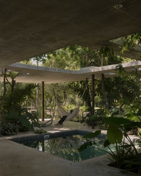 A Forest in the House